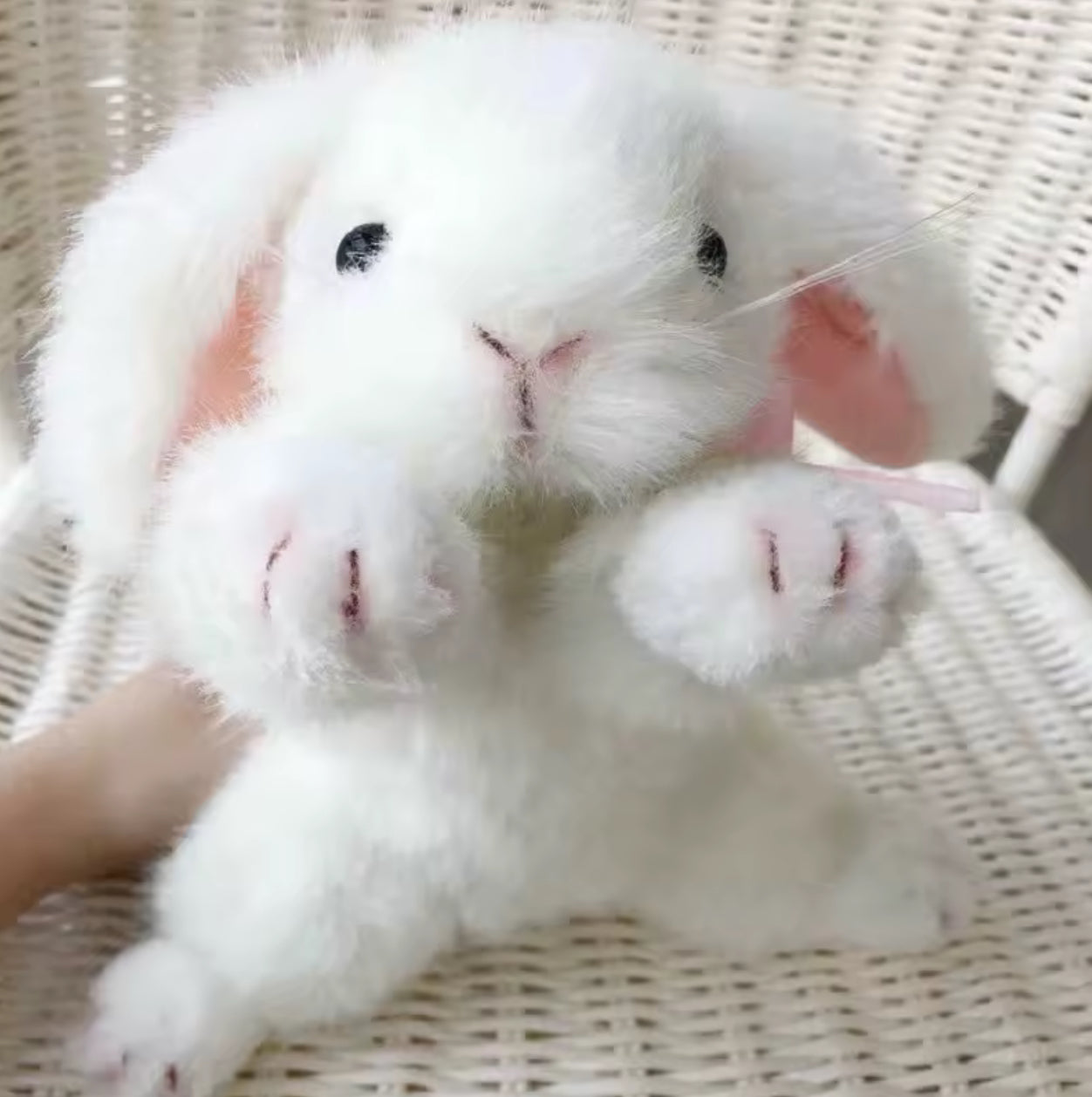 ארנב רך וחמוד פפיון ורוד